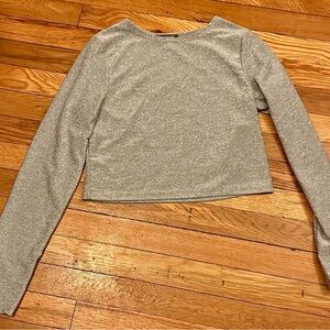 Silver Sparkly Crop Top (M)